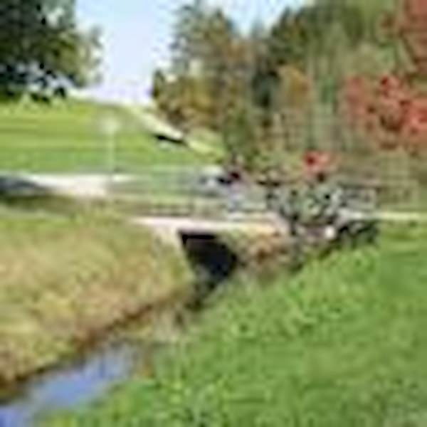 Revitalisierung Sickerkanal, 3. Etappe, Diepoldsau